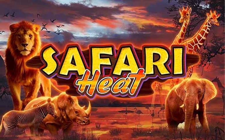 Safari Heat Slot: Playtech Review, RTP & How to Play Safari Heat Slot: Playtech Review, RTP & How to Play